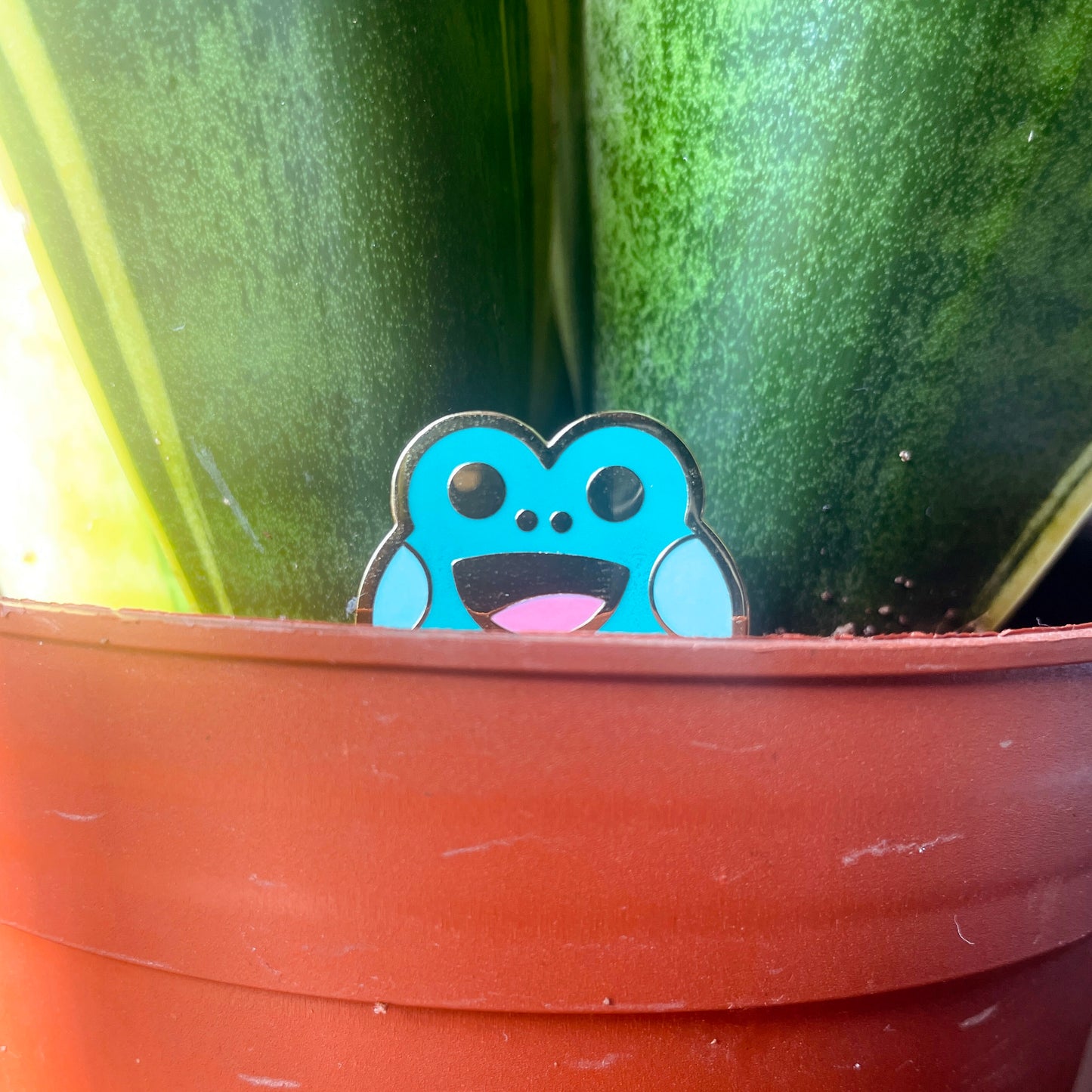 Hard Enamel Frog Pin
