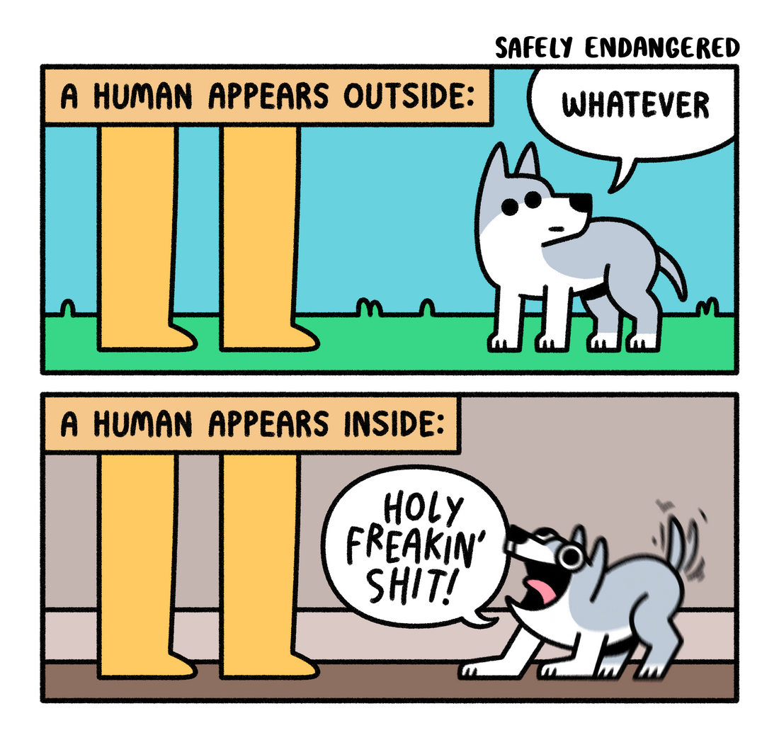 Human