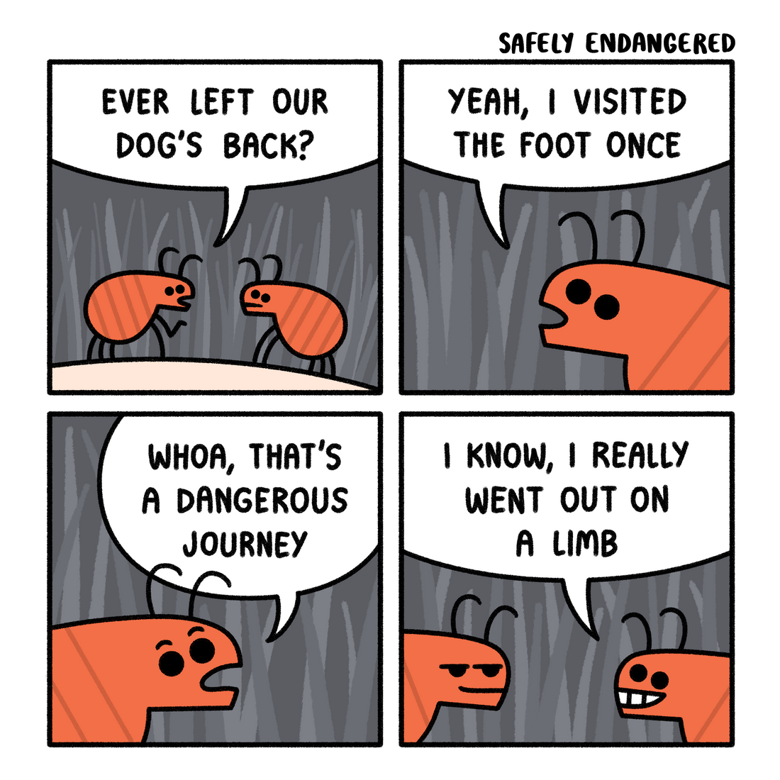 Fleas