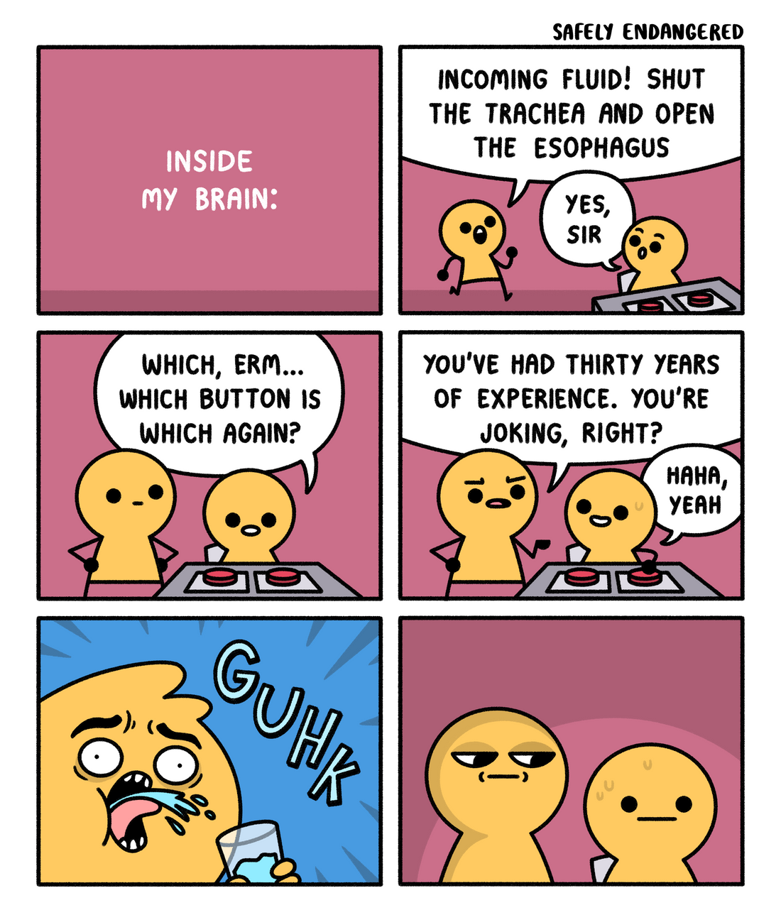 Inside My Brain
