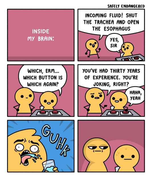 Inside My Brain