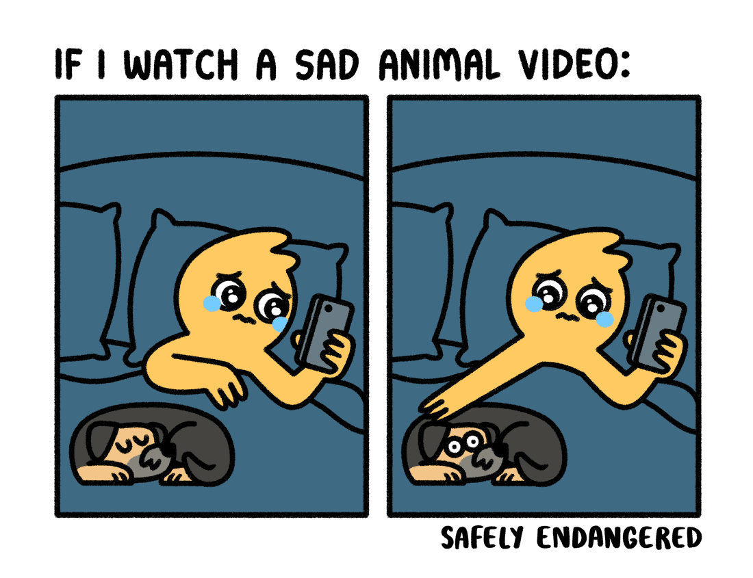 Sad Video